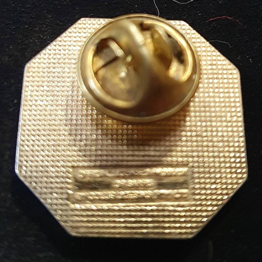 OFFICIAL SARFU SPRINGBOK RUGBY PIN.