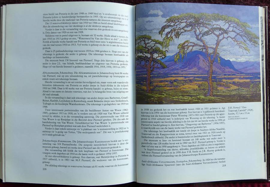 JH Pierneef - Sy Lewe en sy Werke deur PG Nel