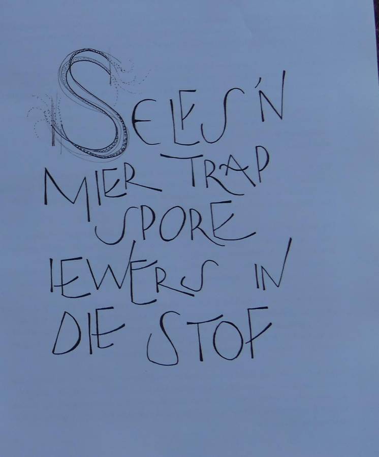 SPORE IN DIE STOF by Anton Coetzer