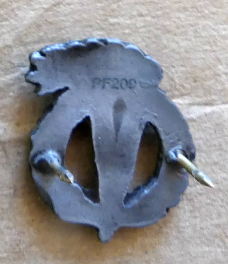 Set of 2 SANDF Pathfinder Proficiency badges  - No PF209 Full & Mini Size