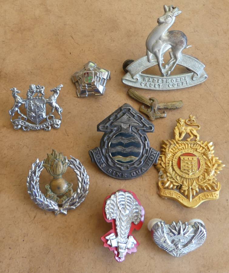 collection of 9 SA Military Badges
