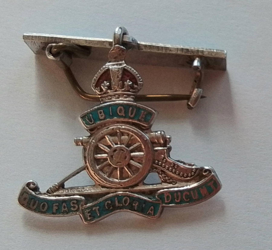 Silver &  Enamel  Badge