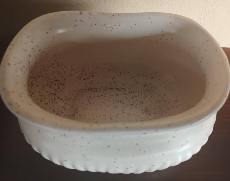 Solid Vintage Pottery Container or Vase