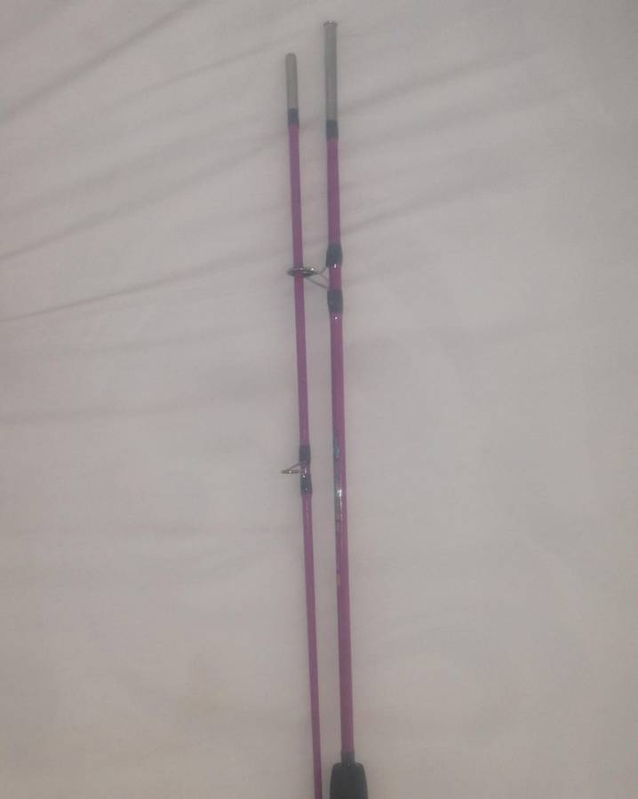 6Ft Carp Fishing Rod, Purple or Dark Pink, 1.8m, 2 Piece
