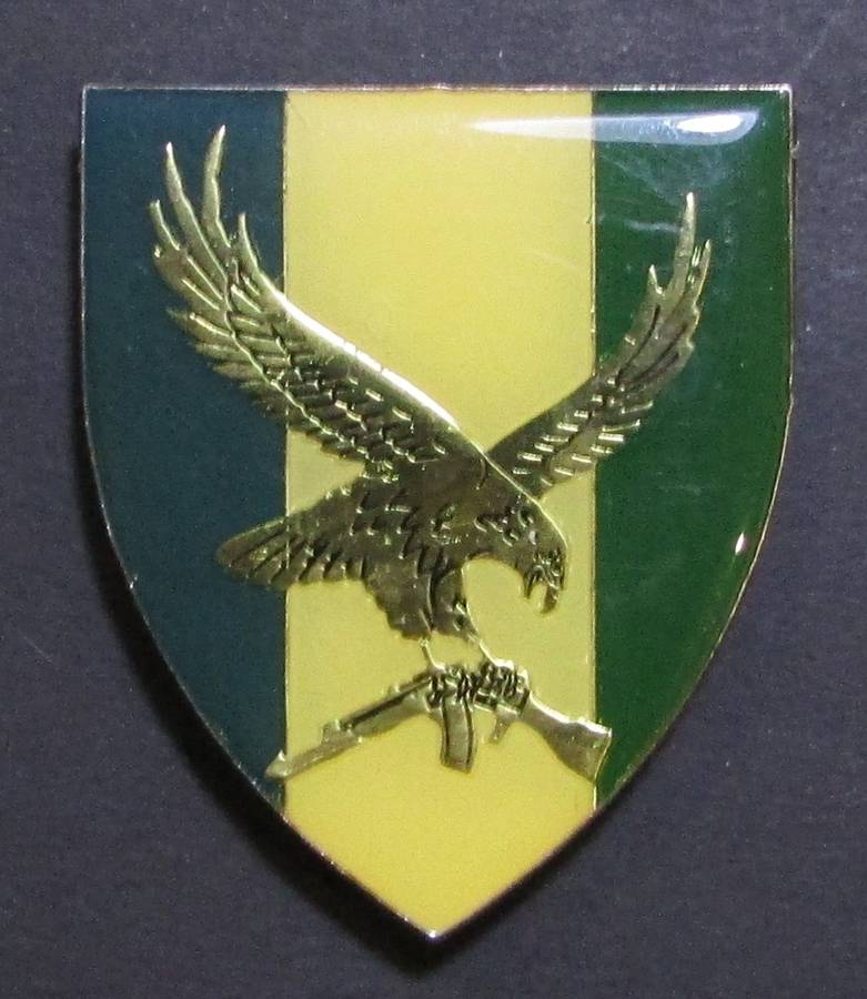 SADF - SWATF 101 Battalion Shoulder Flash