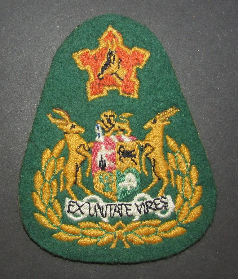 SADF - Sergeant Major of the Army Rank Badge