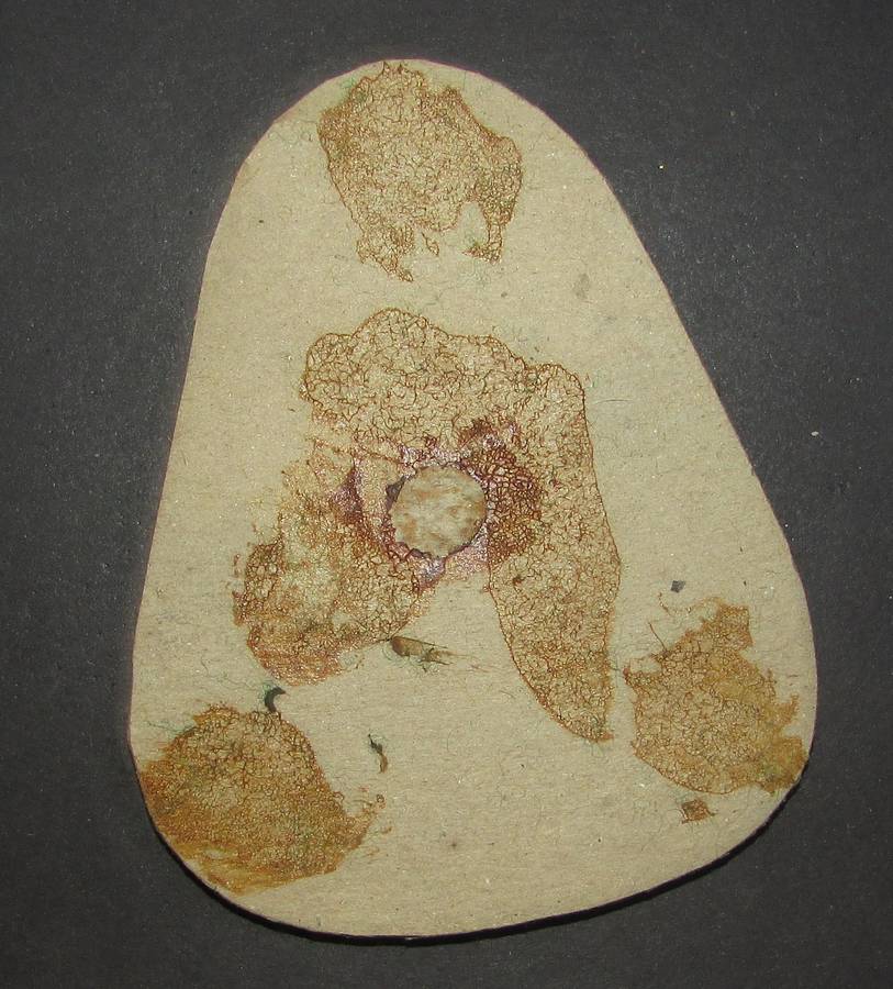 SADF - Sergeant Major of the Army Rank Badge