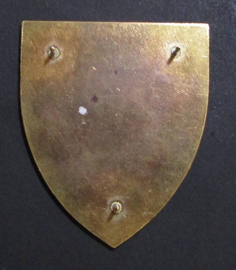 SADF - 6 SA Infantry Battalion Shoulder Flash