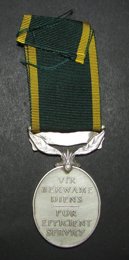 Full Size George V South Africa Efficiency Medal