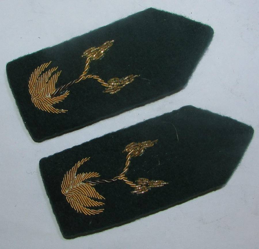 South African Correctional Services Officers Gorgets