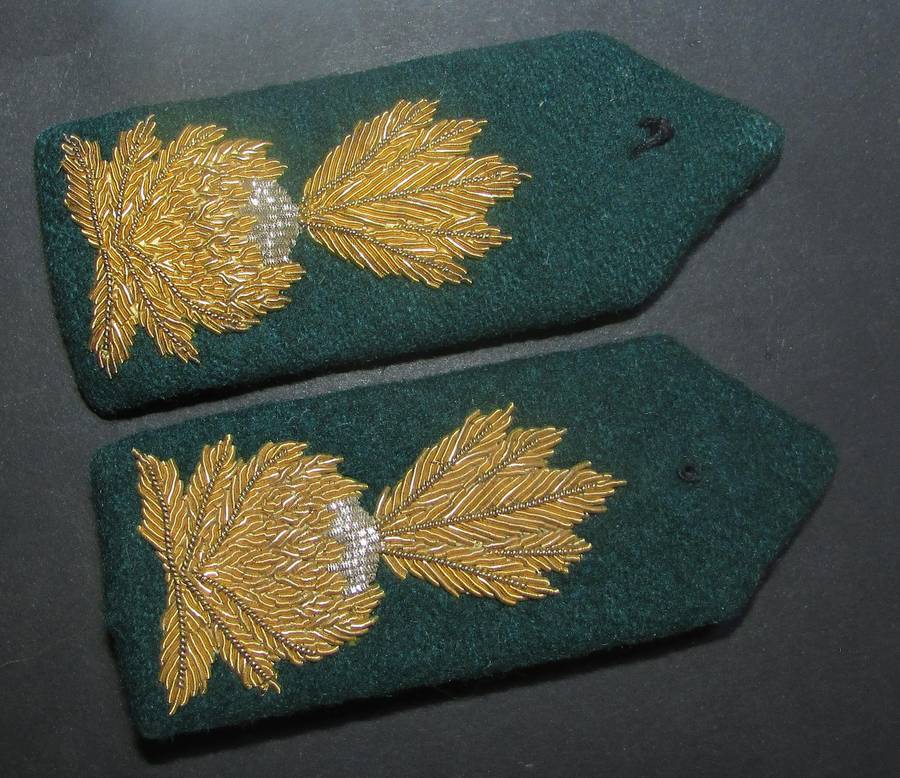 South African Correctional Services Officers Gorgets