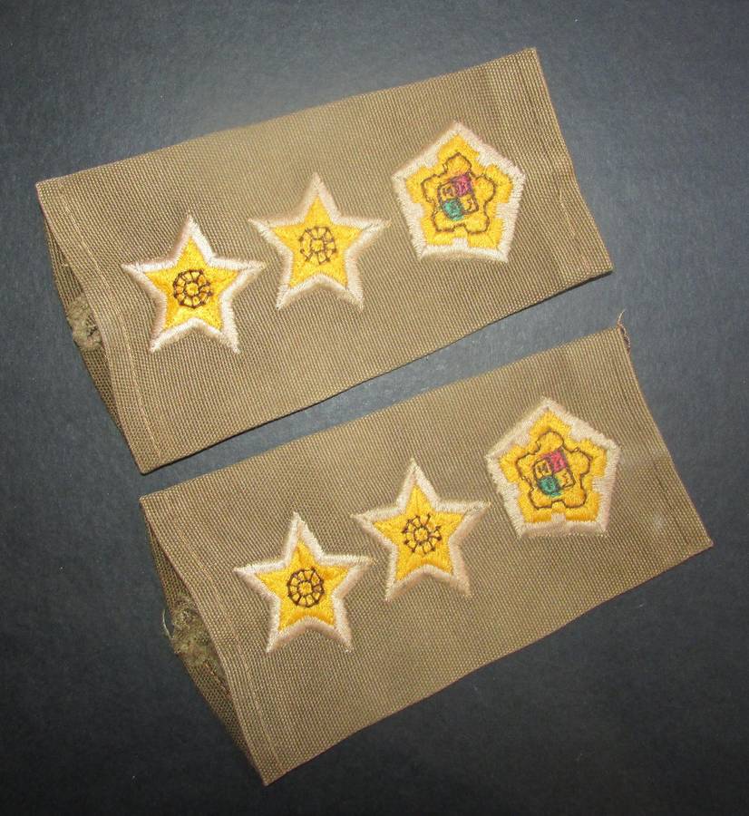 SADF - Army Colonel Slip on Ranks