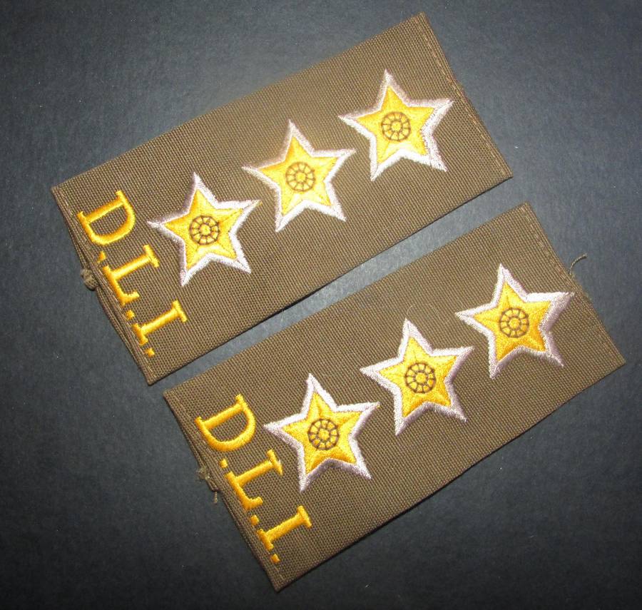 SADF - Durban Light Infantry Slip on Rank Pair