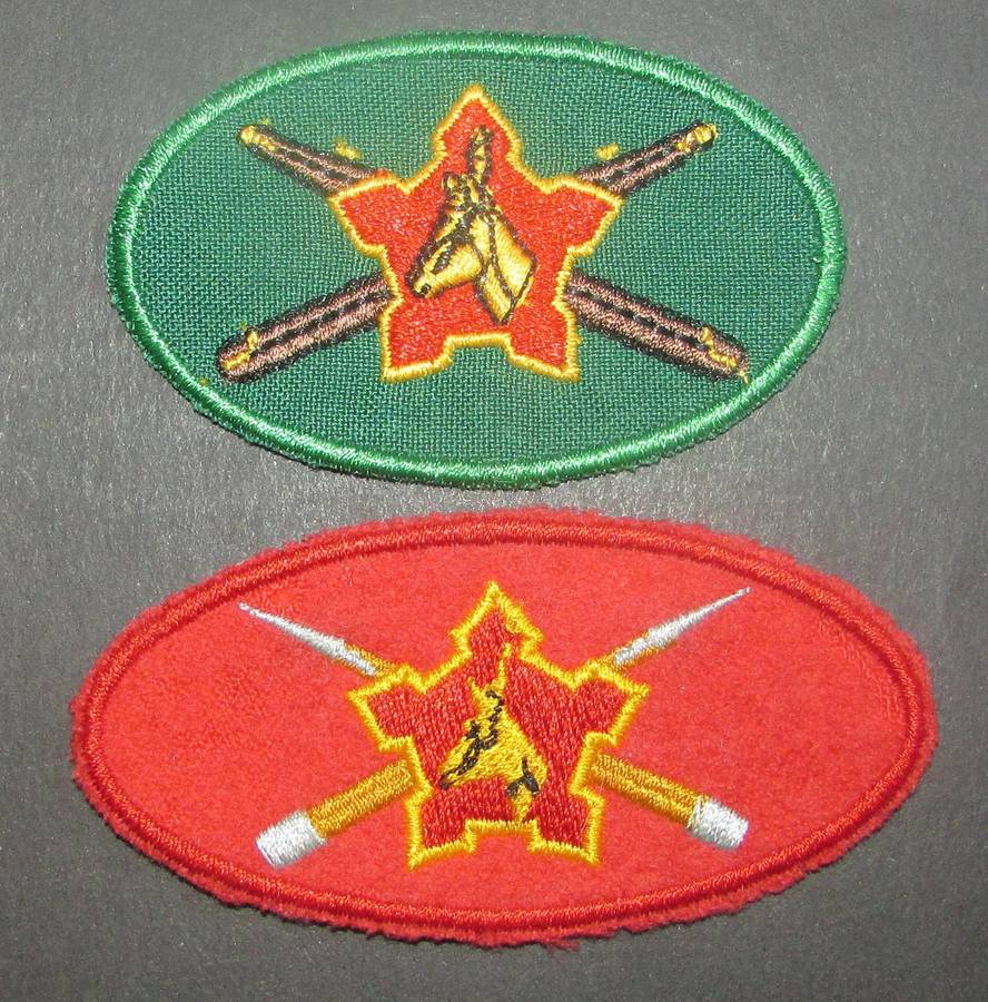 SADF - SADF Wo1 (ex-RSM) Arm Badge Pair