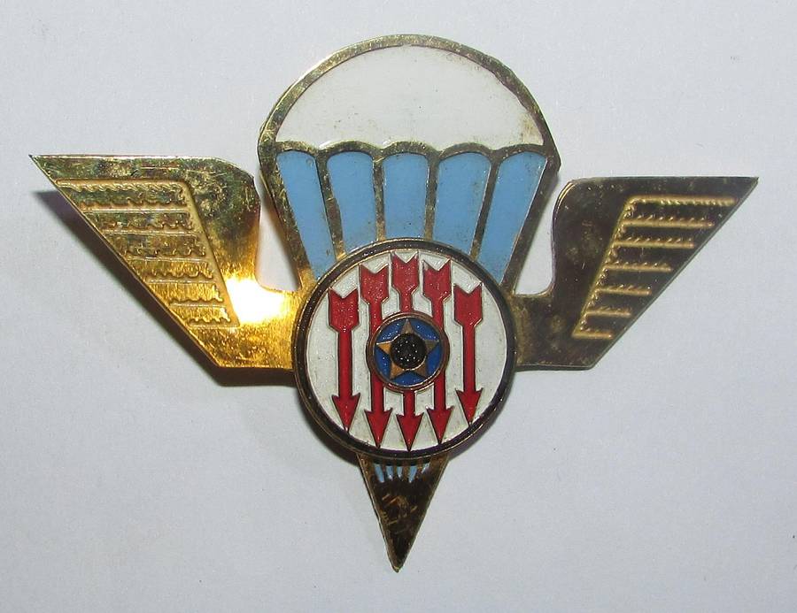 Full Size Renamo ( Mocambique ) Parachute Wing