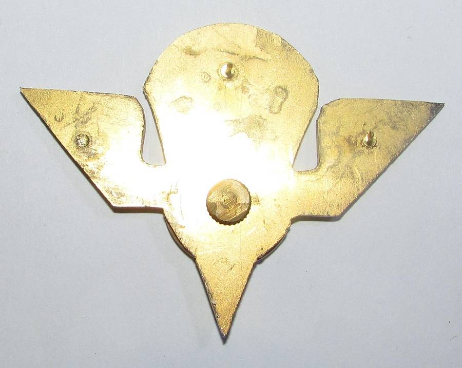 Full Size Renamo ( Mocambique ) Parachute Wing