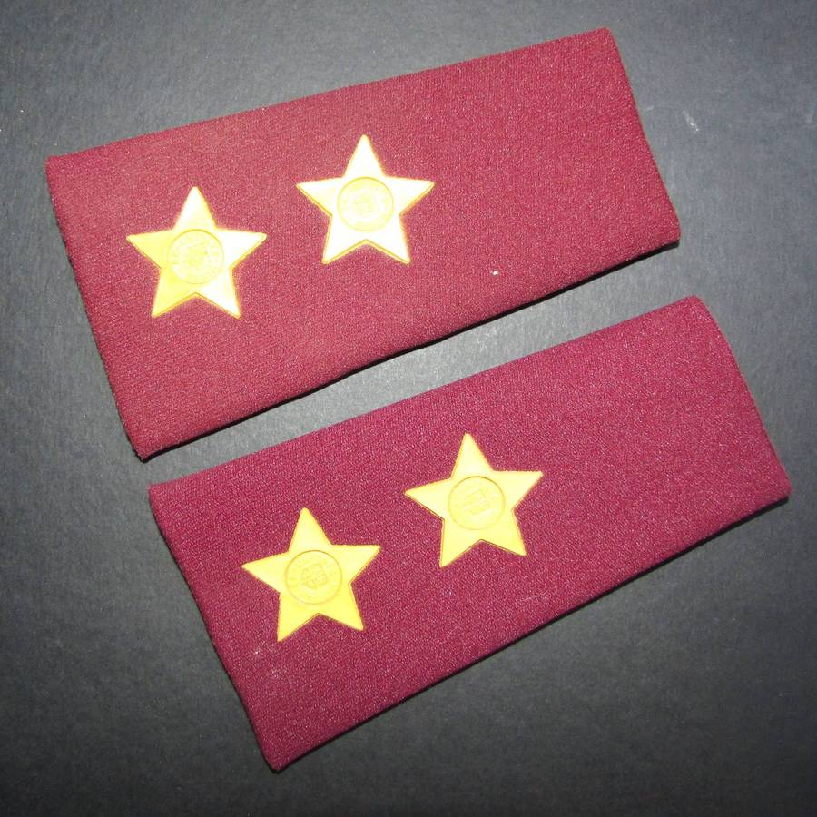 SADF - Medical Corps Lieuetenant Rank Pair