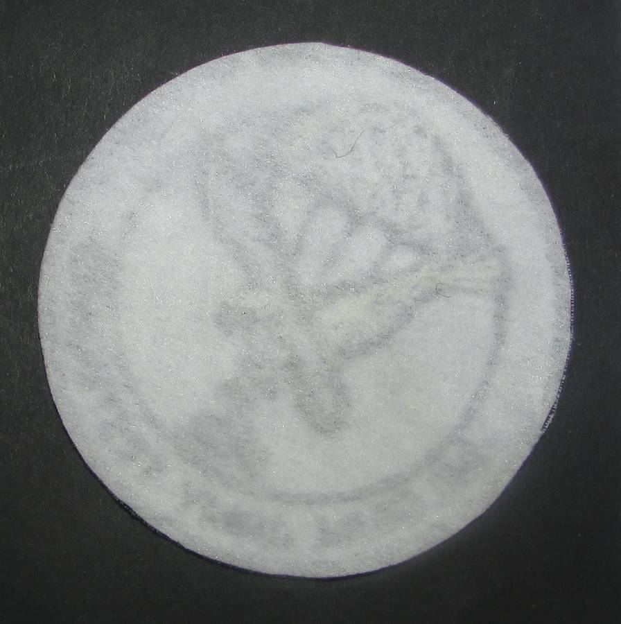 International - Para/Special Forces Patch Badge