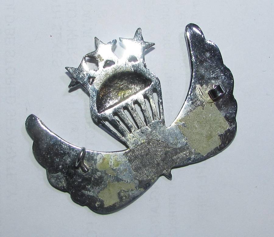 Afghanistan Paratrooper Wing