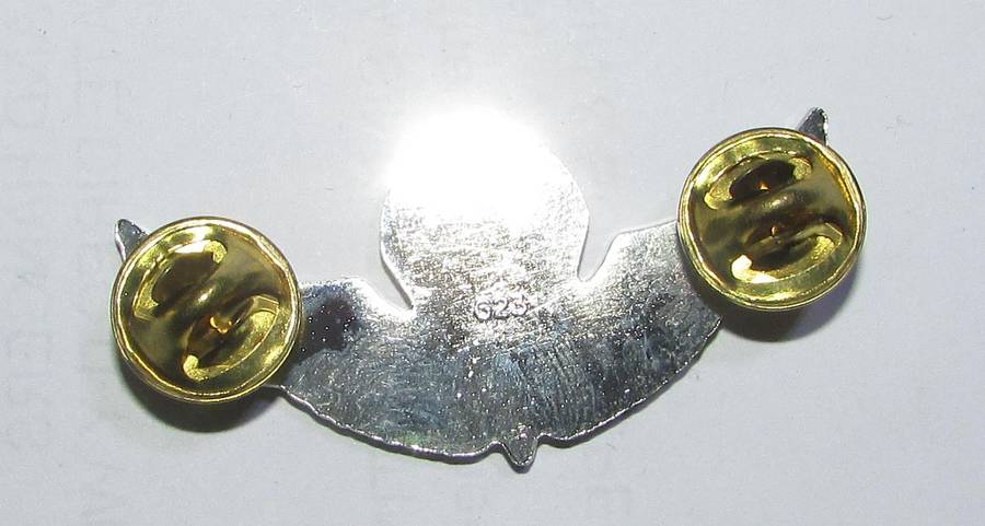 Chile - Parachute Wing