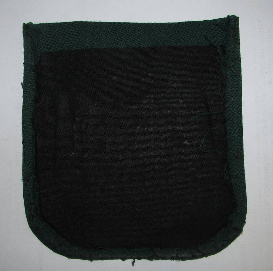 South African Prison Services Blazer Badge