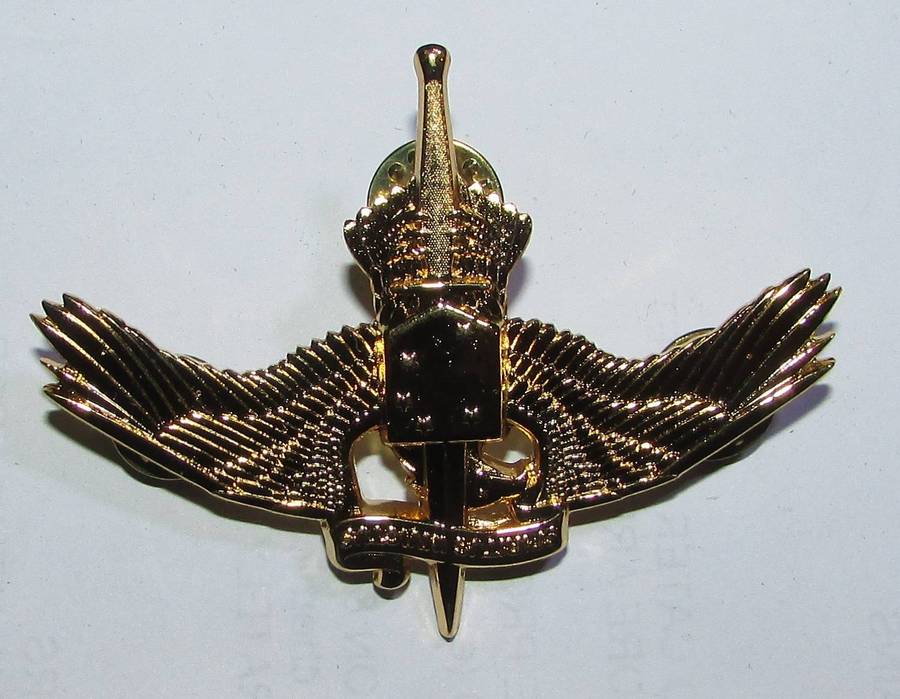 International - Parachute Wing