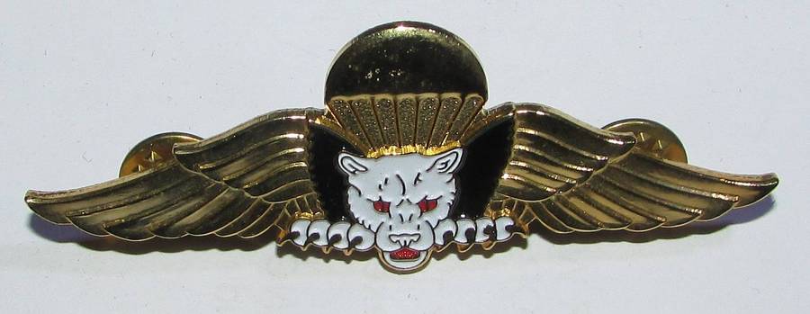 Dominican Republic Parachutist Wings