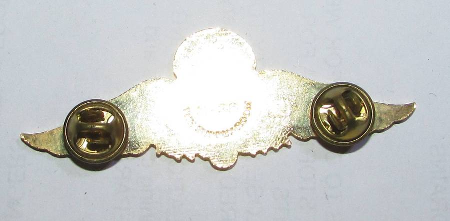 Dominican Republic Parachutist Wings