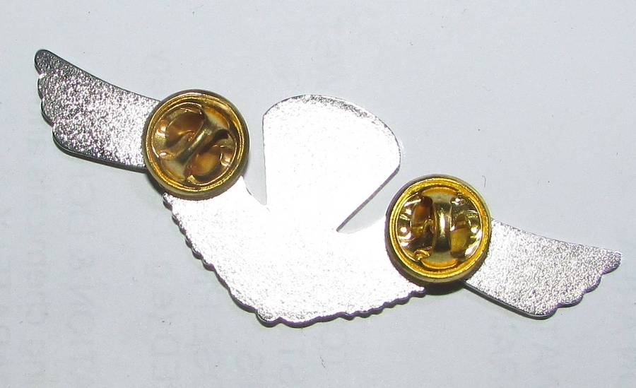 International Parachutist Wings