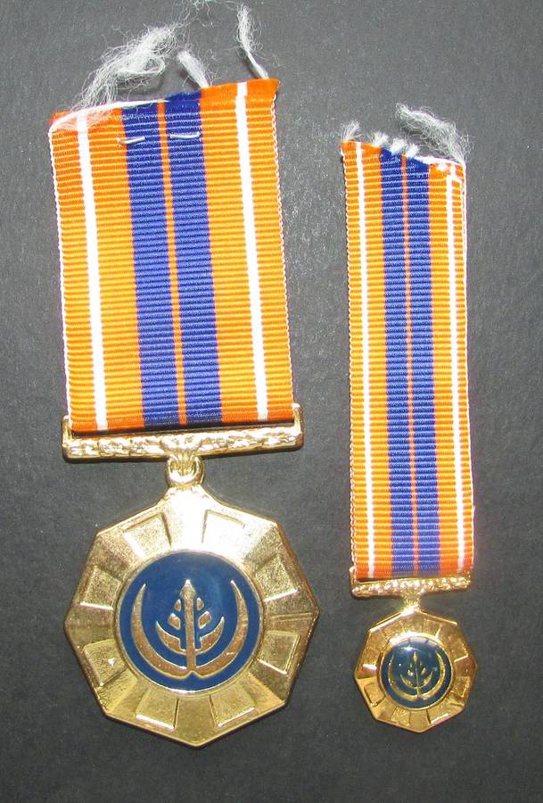SADF - Full Size Pro Patria Medal with Miniature