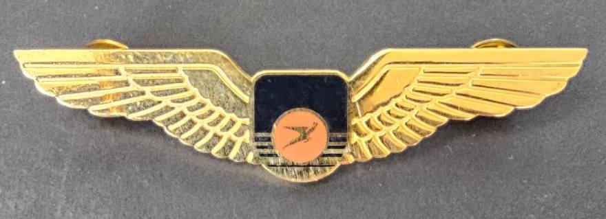 South African Airways (SAA) Pilot Wings