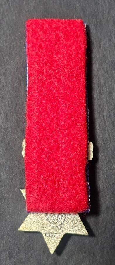 SADF - Protea Decoration - Miniature Medal ( Silver with Device )