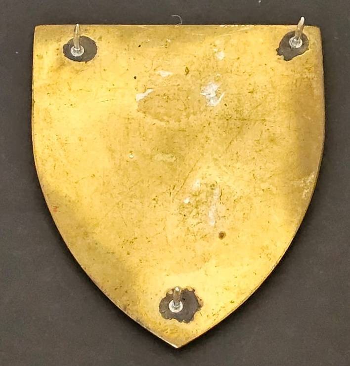 SADF - 6 SA Infantry Shoulder Flash