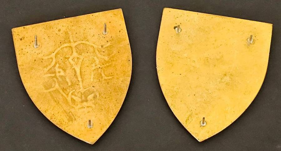 SADF - 116 Battalion Shoulder Flash Pair