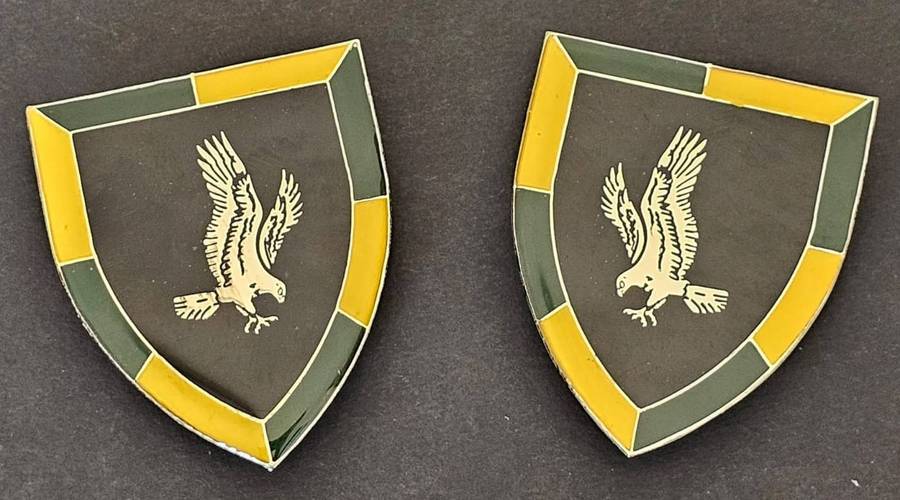 SADF - 118 Battalion Shoulder Flash Pair (Not often seen)