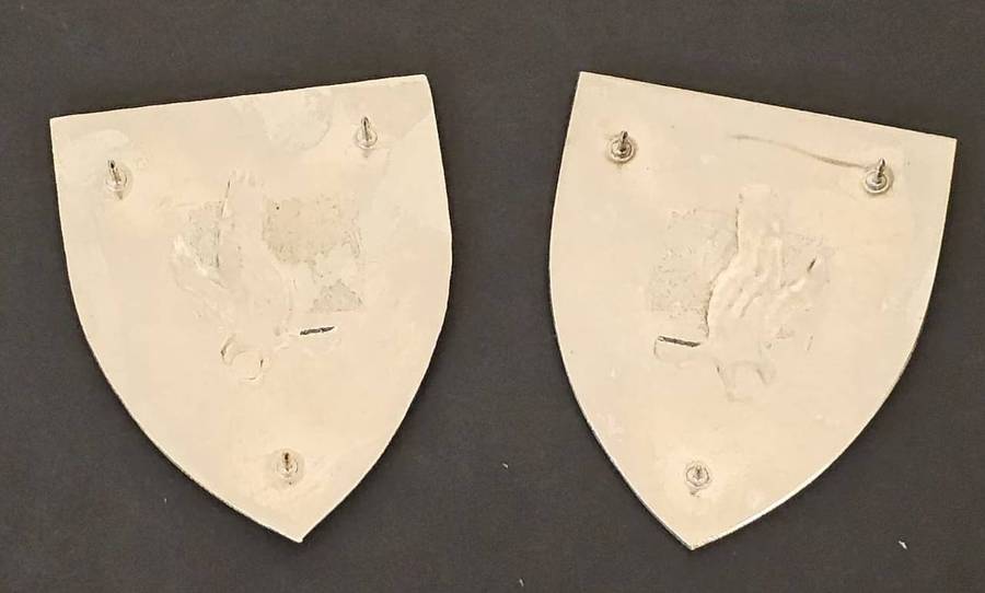 SADF - 118 Battalion Shoulder Flash Pair (Not often seen)