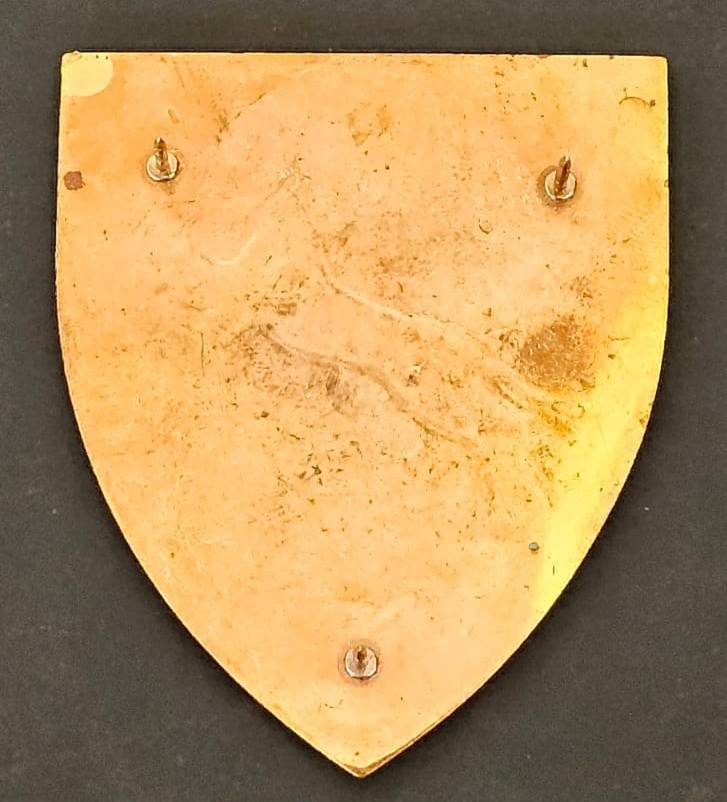 SADF - 911 Battalion Shoulder Flash