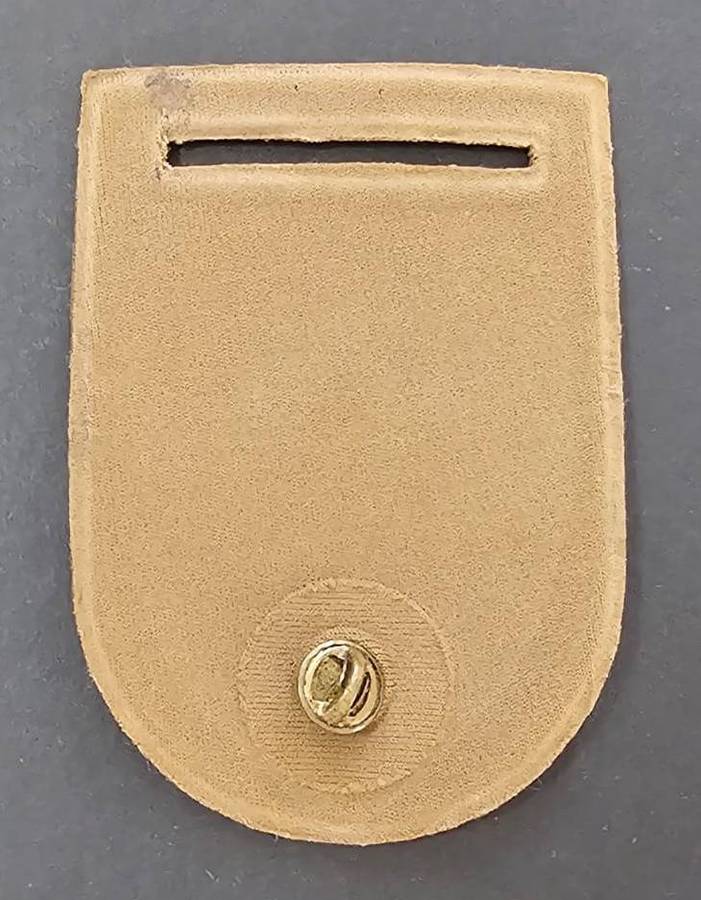 South African Escom Security Services Tupper Shoulder Flash