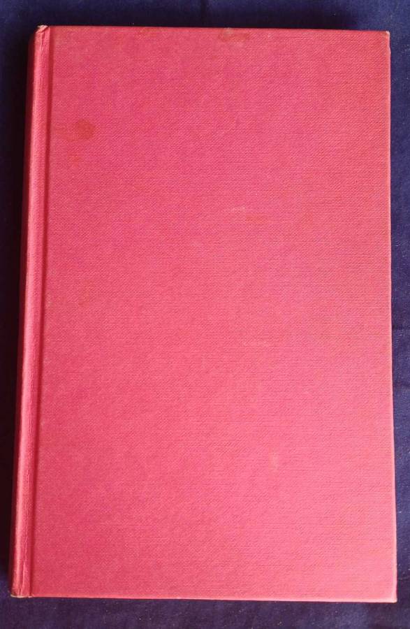 Kleingeluk deur Tryna du Toit