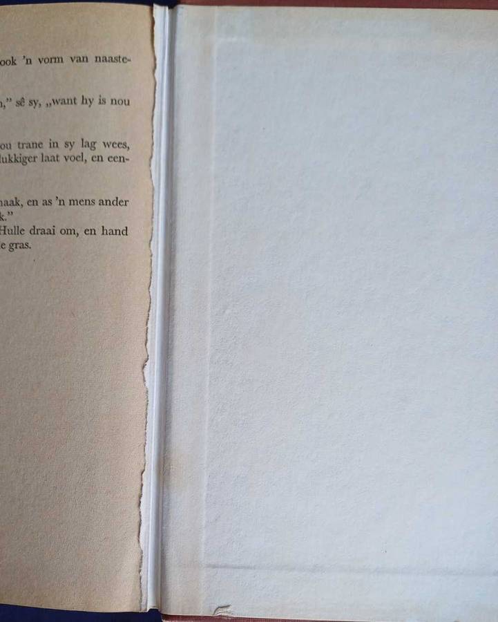 Rooi lag van die lewe deur Vincent van der Westhuizen