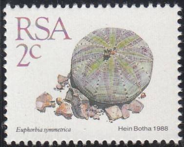 RSA 1991: 5th DEFINITIVE ISSUE 2c MNH (SACC 669)