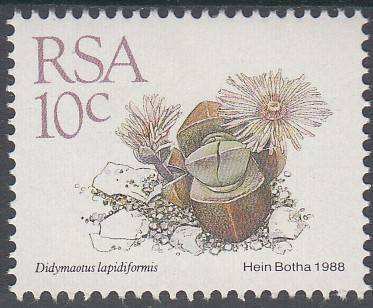 RSA 1988: 5th DEFINITIVE ISSUE 10c MNH (SACC 672)
