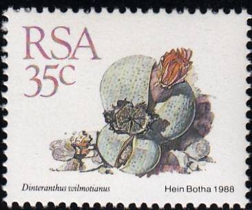 RSA 1988: 5th DEFINITIVE ISSUE SUCCULENTS 35c MNH (SACC 677)