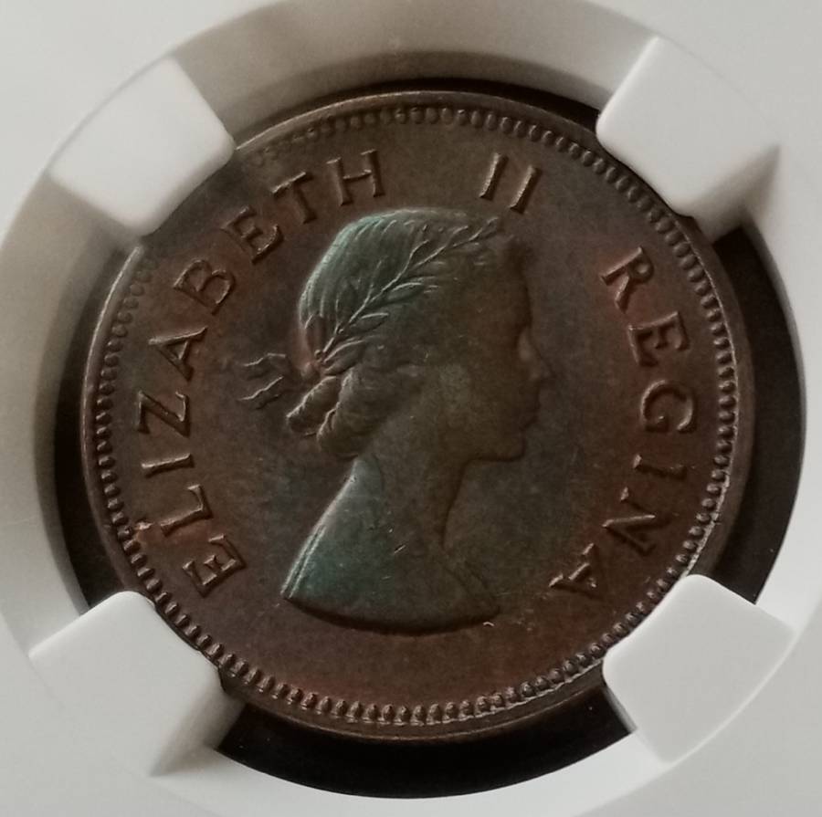 Nice 1955 union 1/2 penny NGC MS63 BN (Bakewell Collection)