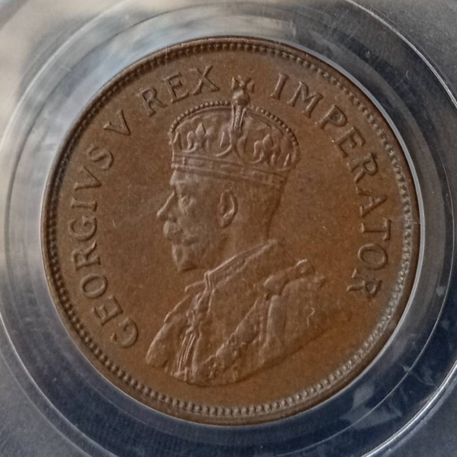1929 Union 1/2 penny PCGS AU58 (high grade) - Only 6 coins graded higher