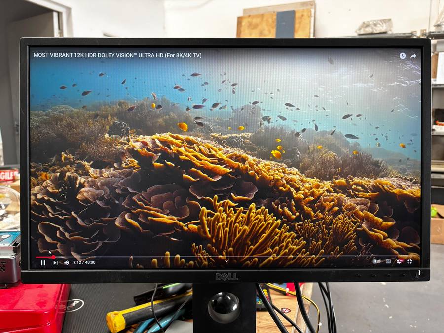 Dell 22" LCD Screen