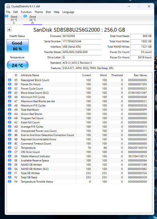 SSD - 256GB SanDisk