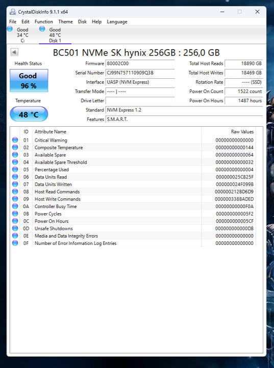 NVMe - 256GB SK Hynix