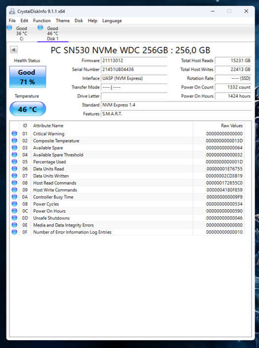 NVMe - 256GB Western Digital