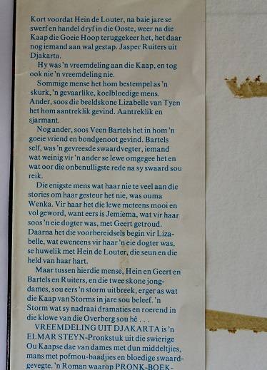 Vreemdeling uit Djakarta deur Elmar Steyn